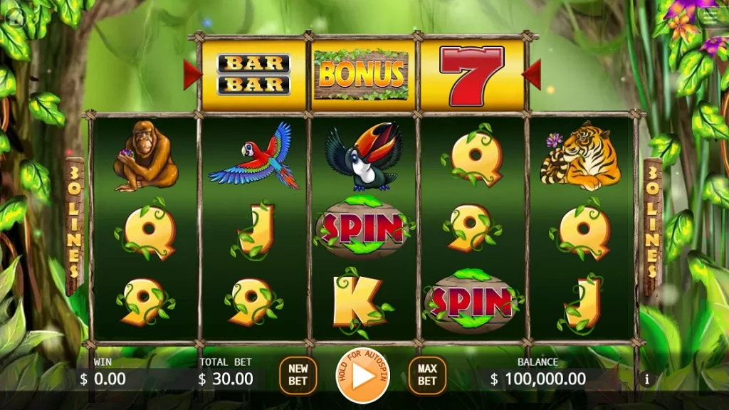 Dragon link slots